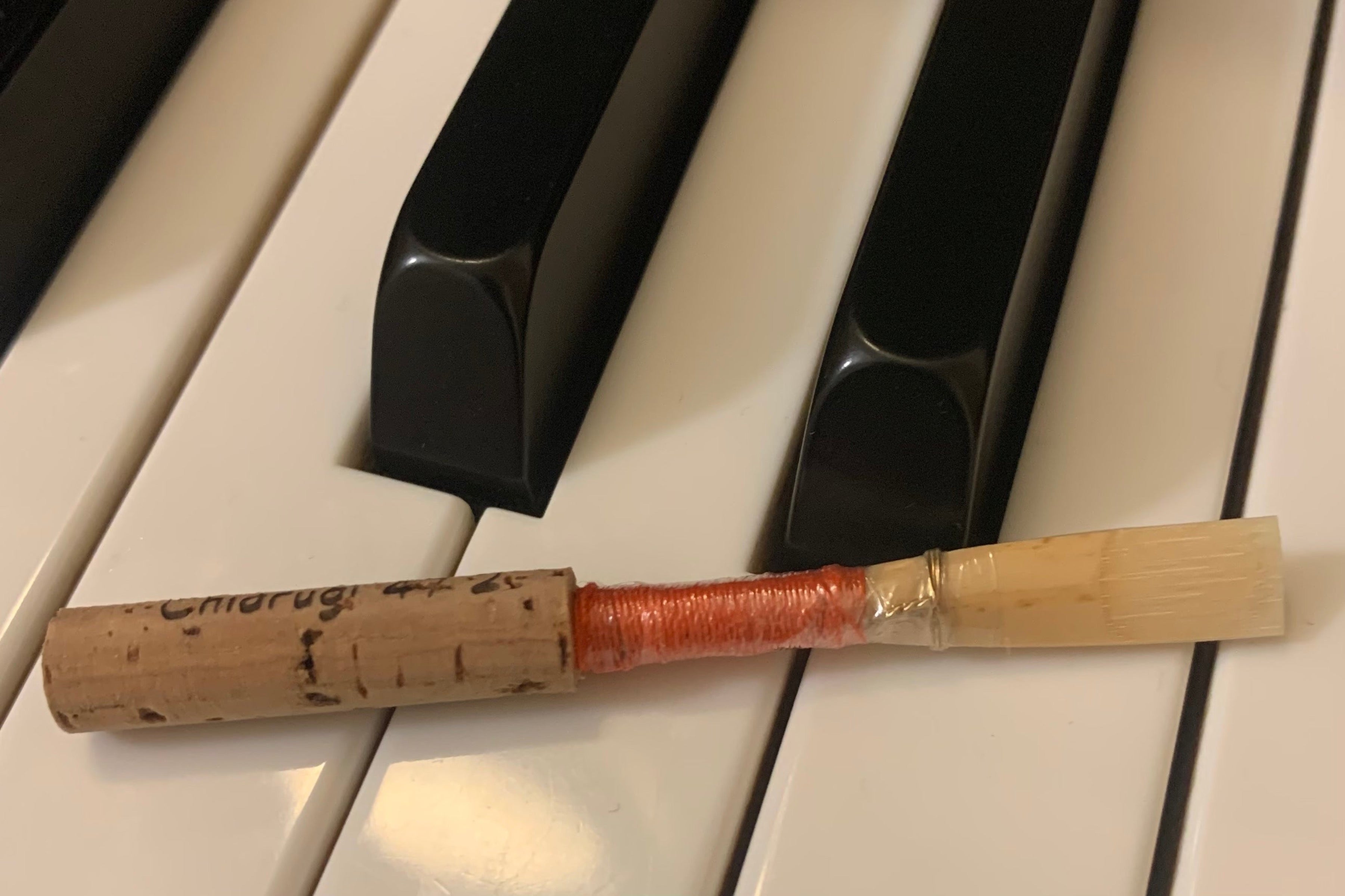 Orange Reeds Student Reed, The Orange One – Oboereedsbylesley